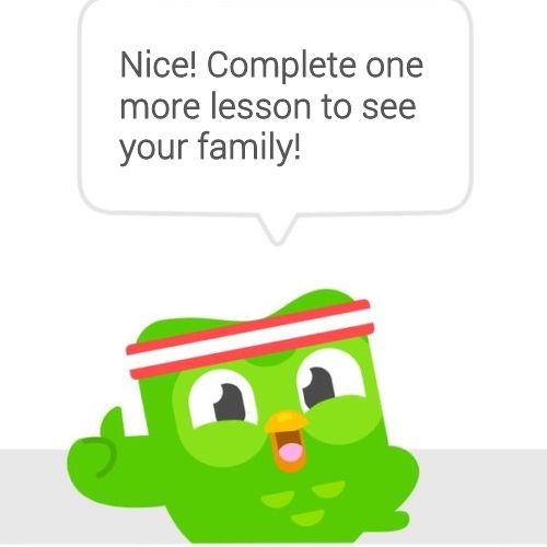 Meme Duolingo đã trở thành phần không thể thiếu trong thế giới ảnh chế online