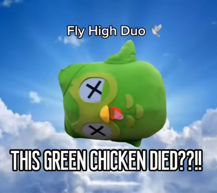 Meme Duolingo giúp người học thấy được sự thú vị ngay cả khi bị nhắc nhở học tập