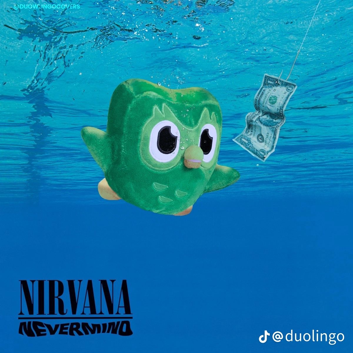 Meme Duolingo giúp tạo thêm cảm giác vui vẻ và bớt áp lực cho người học ngoại ngữ