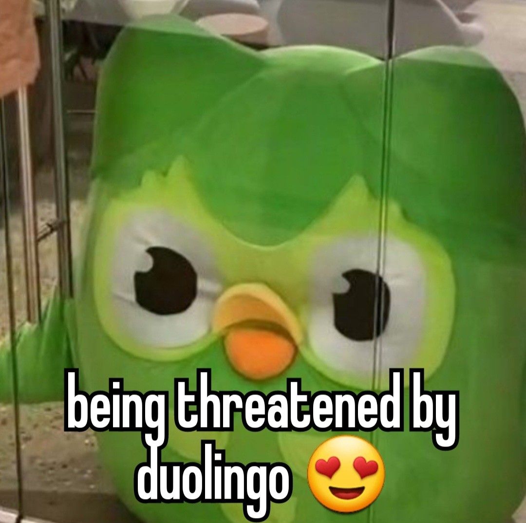 Meme Duolingo giúp việc học ngoại ngữ bớt khô khan và thêm phần thú vị đáng nhớ