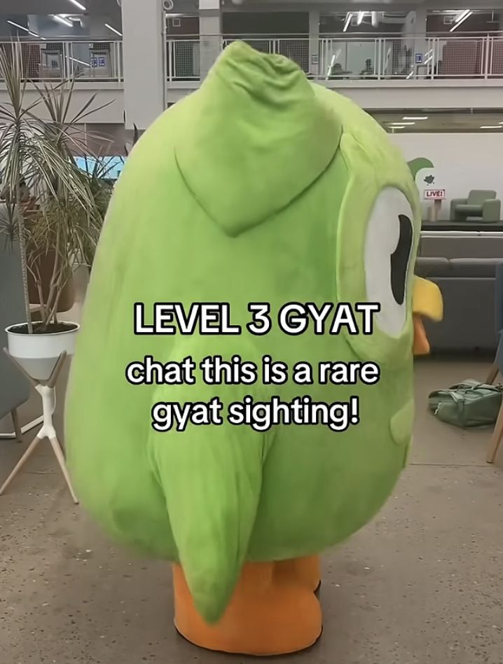 Meme Duolingo tiếp tục mang lại nguồn cảm hứng hài hước cho cộng đồng học ngoại ngữ