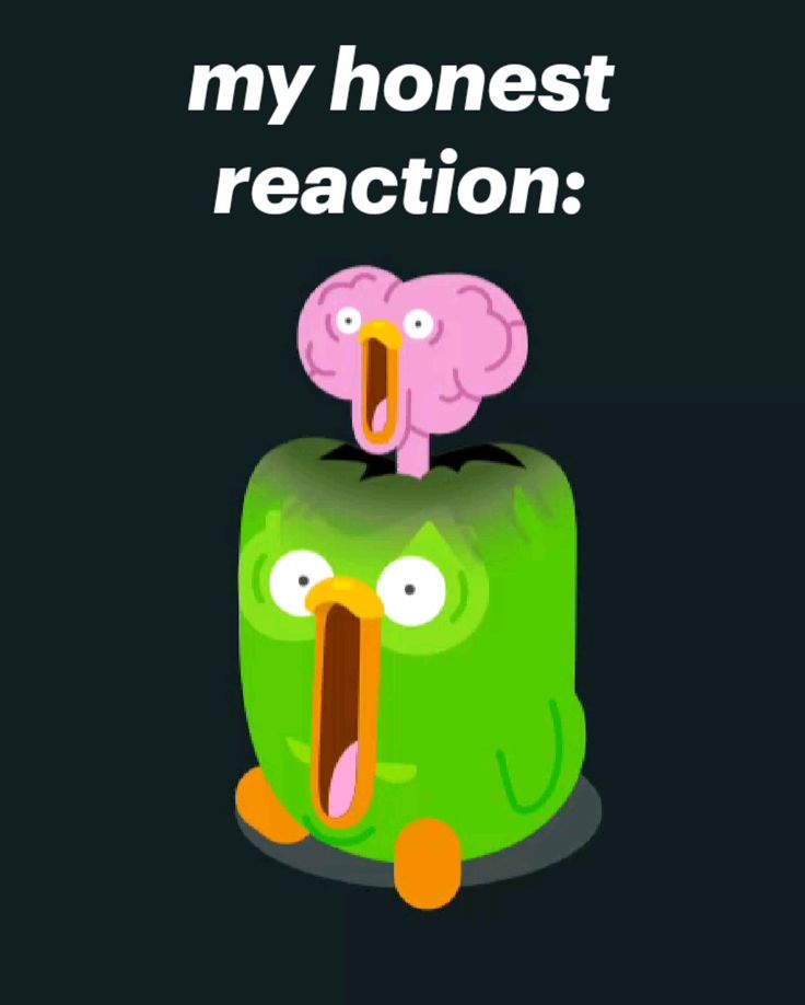 Mỗi Duolingo meme đều mang theo tinh thần hài hước của cộng đồng mạng trẻ