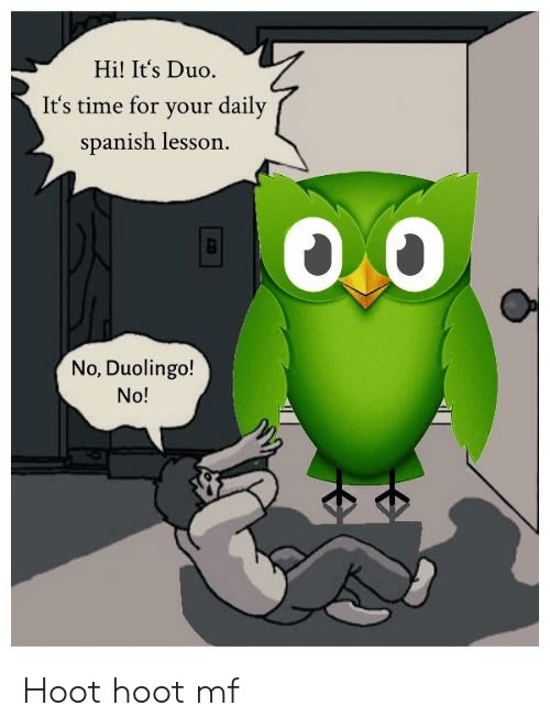 Mỗi Duolingo meme đều mang thông điệp hài hước giúp học ngoại ngữ thú vị hơn