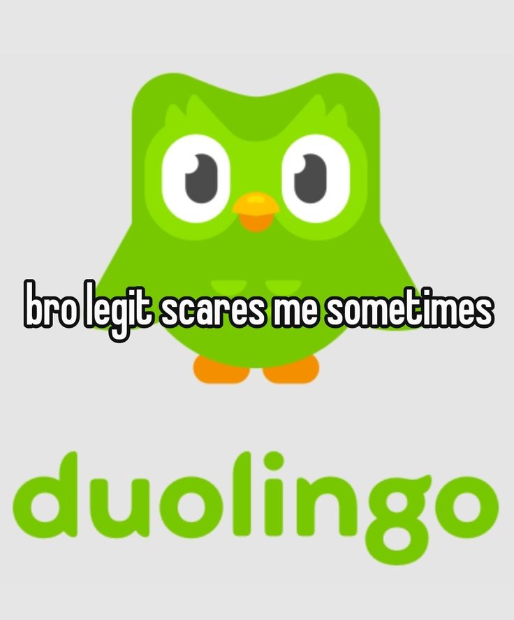 Mỗi ngày, Duolingo meme đều được chia sẻ để mang lại tiếng cười tích cực