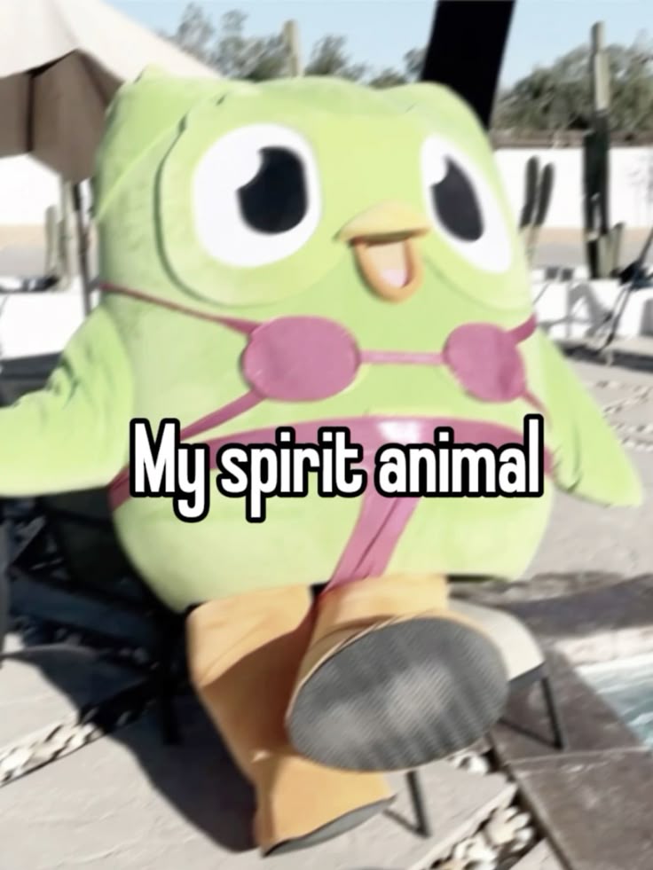 Người trẻ coi Duolingo meme như cách thể hiện sự đồng cảm trong học tập