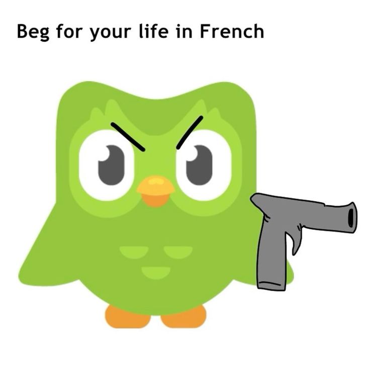 Người trẻ thường xuyên dùng Duolingo meme để tạo sự kết nối trong group học