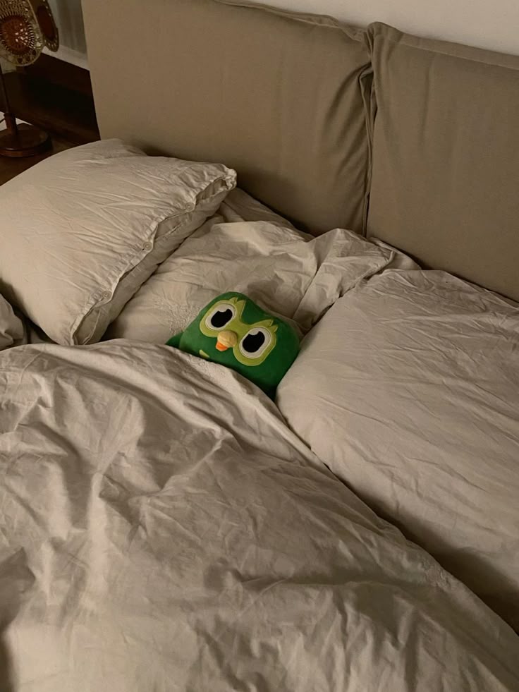 Ai cũng cảm thấy vui nhộn khi Duolingo meme xuất hiện trong dòng bình luận vui vẻ