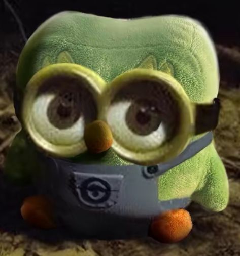 Ai cũng có thể tìm thấy Duolingo meme trong các group học ngoại ngữ lớn nhỏ