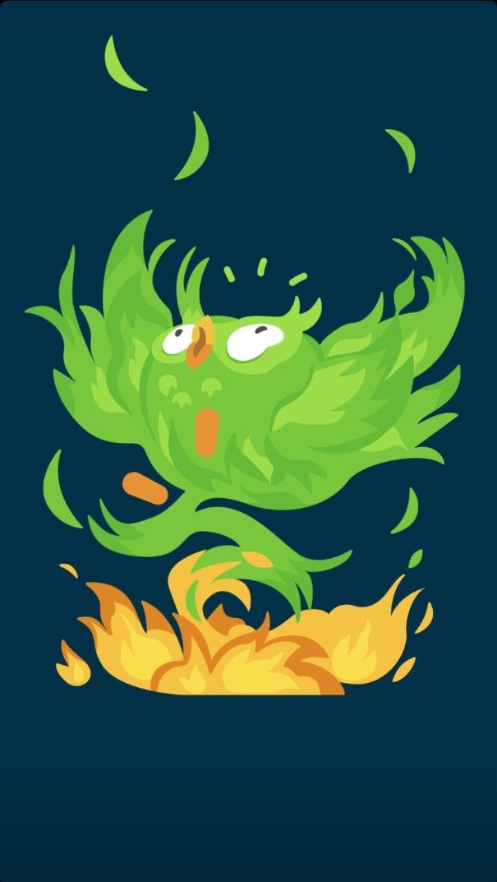 Người dùng thường tìm đến Duolingo meme để giải trí sau giờ học căng thẳng