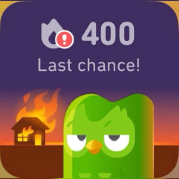 Ai cũng dễ dàng bắt gặp Duolingo meme trên các trang mạng xã hội phổ biến