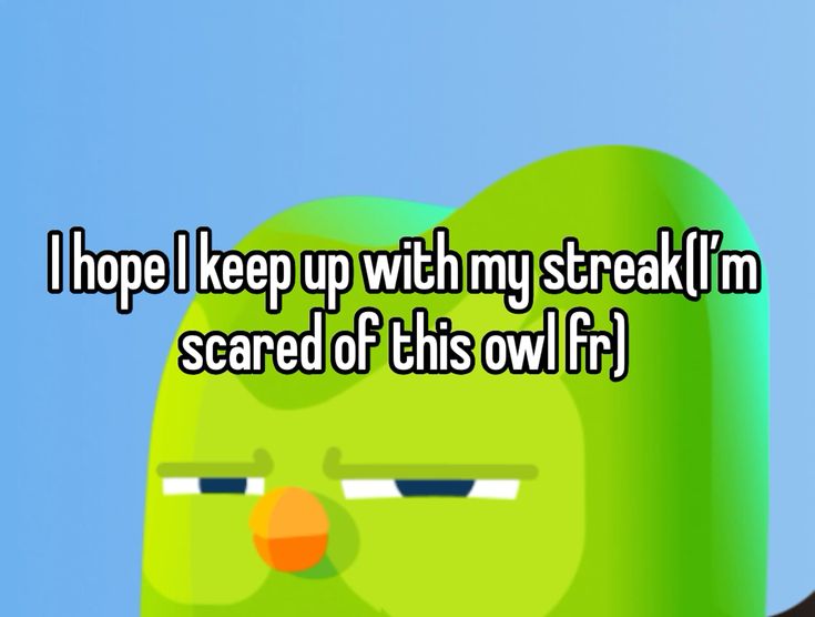 Ai cũng dễ dàng nhận ra sự đáng yêu của chú chim xanh qua các Duolingo meme