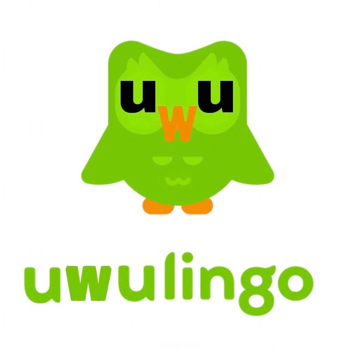 Ai cũng dễ dàng tìm thấy Duolingo meme trong những bộ sưu tập ảnh chế hài hước