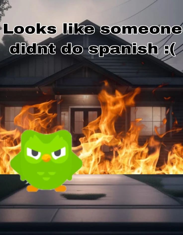 Ai cũng dễ dàng tìm thấy niềm vui khi lướt xem các Duolingo meme mỗi ngày