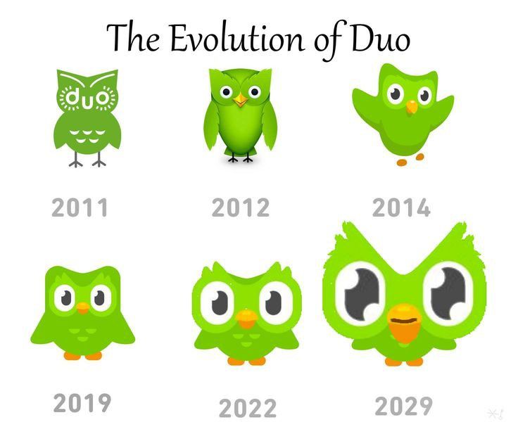Ai cũng mỉm cười khi thấy Duolingo meme xuất hiện trong group chat hằng ngày