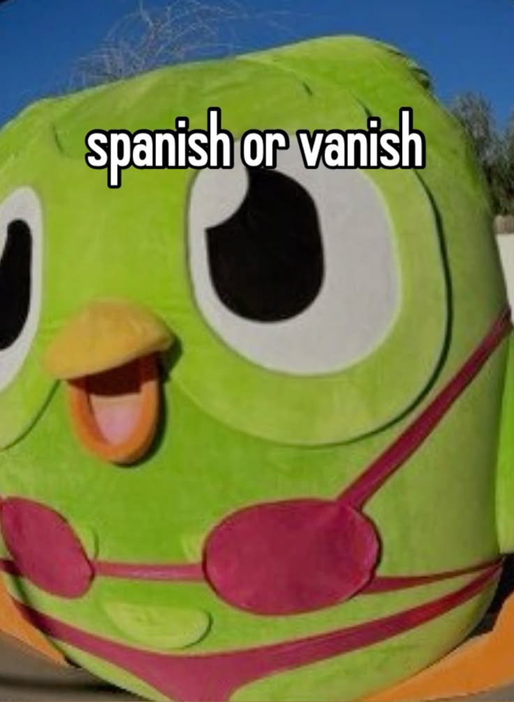 Ai cũng mỉm cười trước sự hài hước nhẹ nhàng trong những Duolingo meme đáng yêu