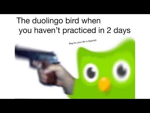 Ai cũng thích chia sẻ Duolingo meme để tạo tiếng cười cho bạn bè thân thiết