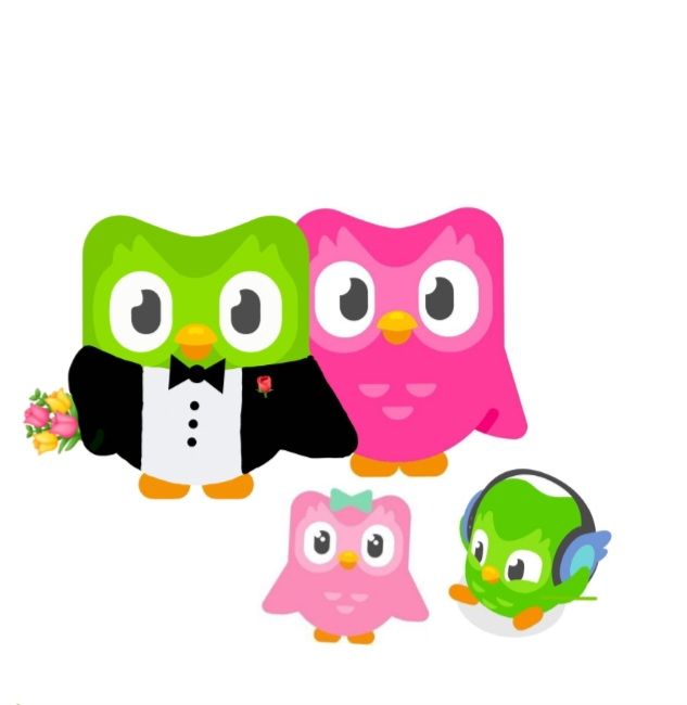 Người dùng thường xuyên chia sẻ Duolingo meme trong các group chat để gây cười