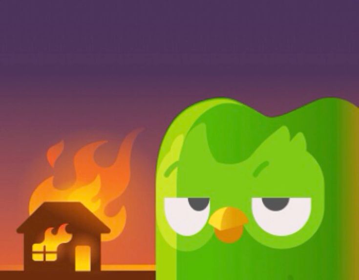 Ai cũng yêu mến Duolingo meme vì nó biến việc học thành trải nghiệm vui vẻ