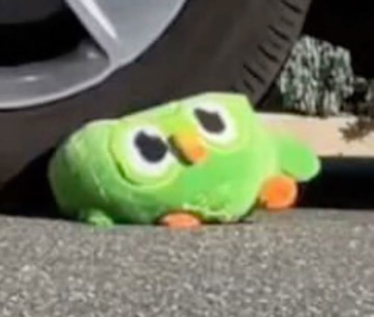 Các nhóm học tập trực tuyến thường dùng Duolingo meme để tạo không khí vui vẻ