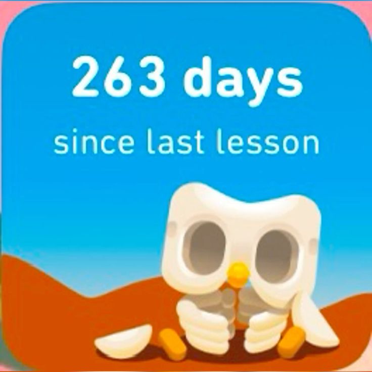 Duolingo meme cho thấy sức hút mạnh mẽ của ảnh chế trong giới trẻ hiện nay