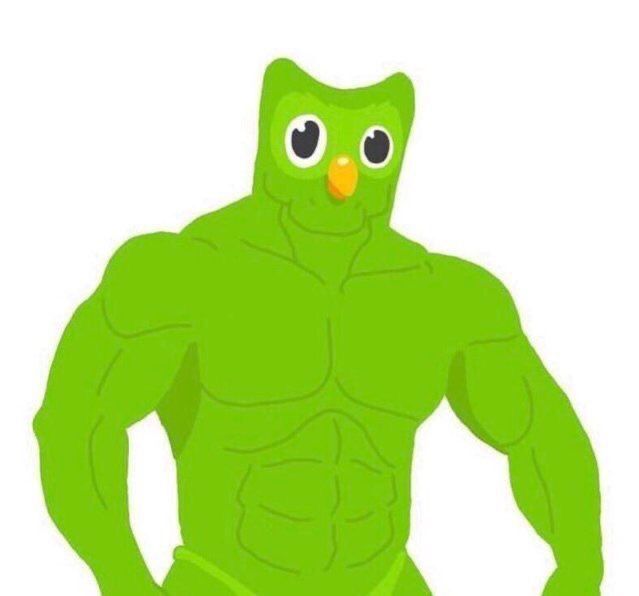 Duolingo meme cho thấy sức sáng tạo phong phú trong cộng đồng học ngoại ngữ trẻ