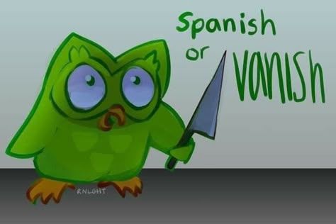 Duolingo meme cho thấy sự kết hợp hoàn hảo giữa học tập và giải trí hài hước