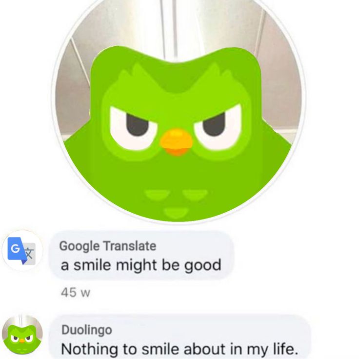 Duolingo meme đã chứng minh rằng học tập cũng có thể trở nên hài hước và vui vẻ