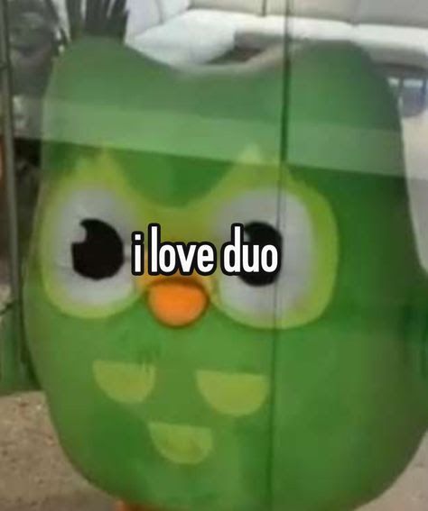 Duolingo meme đã mang lại sự hứng khởi mới cho việc học tập thường ngày