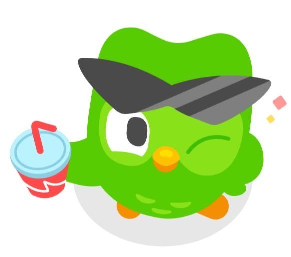 Duolingo meme đã trở thành biểu tượng quen thuộc của người học ngoại ngữ trực tuyến