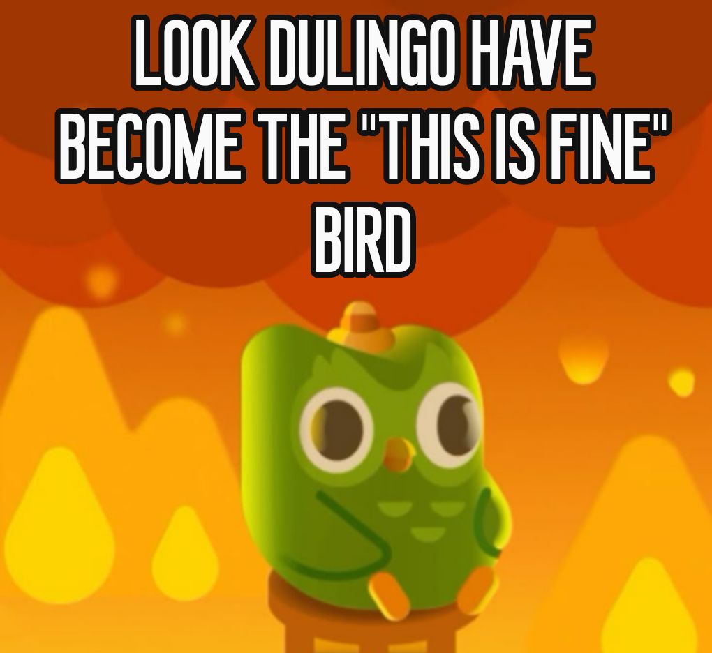 Duolingo meme đã trở thành lựa chọn phổ biến trong những nhóm học ngoại ngữ online