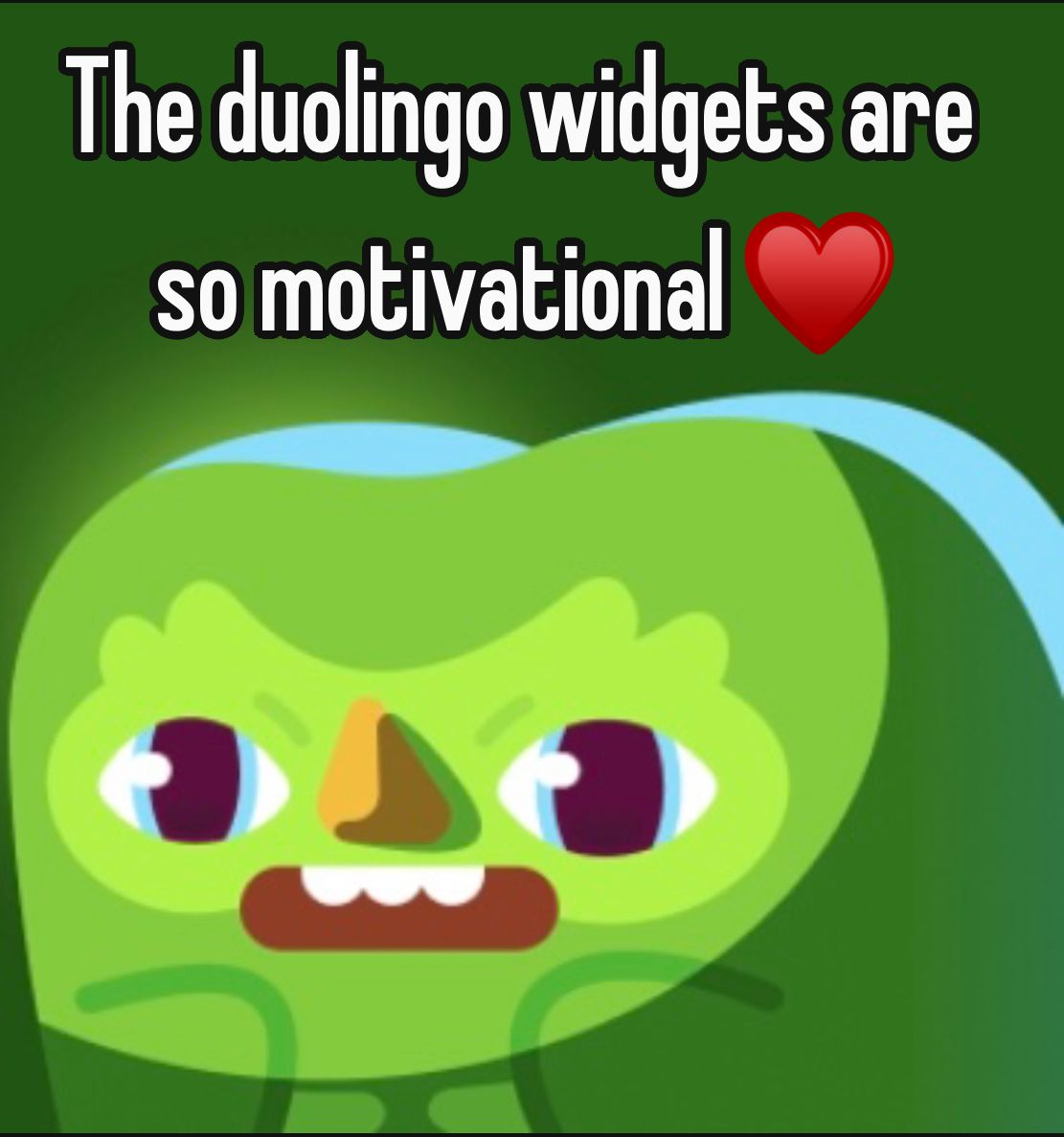 Duolingo meme được sáng tạo liên tục để phù hợp với nhiều tình huống khác nhau