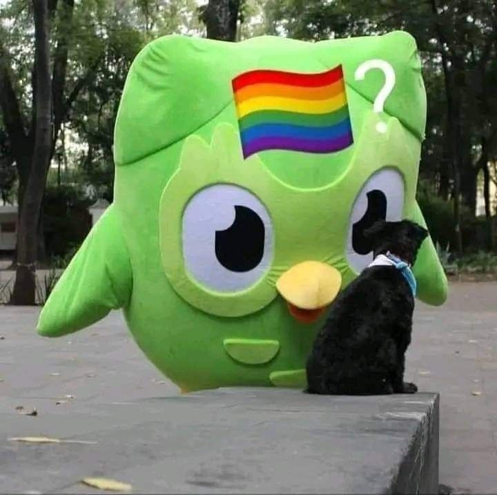 Duolingo meme giúp lan tỏa năng lượng tích cực trong mọi group chat trực tuyến