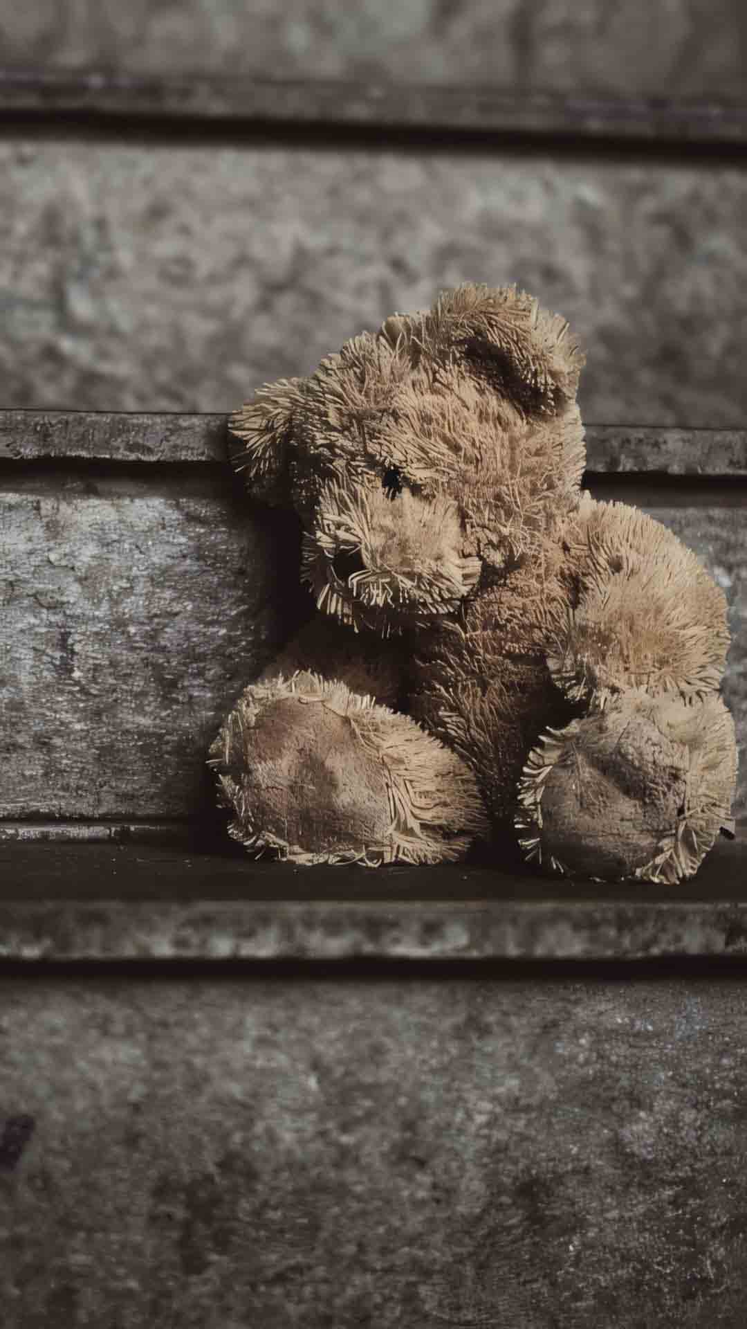 anh gau buon tam trang sieu dep trai 1920px 1080px full hd 6