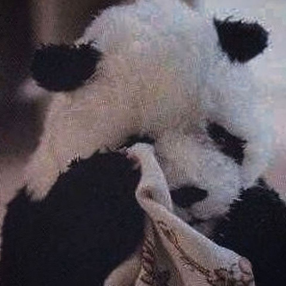 anh gau truc buon 960px 960px avatar 3