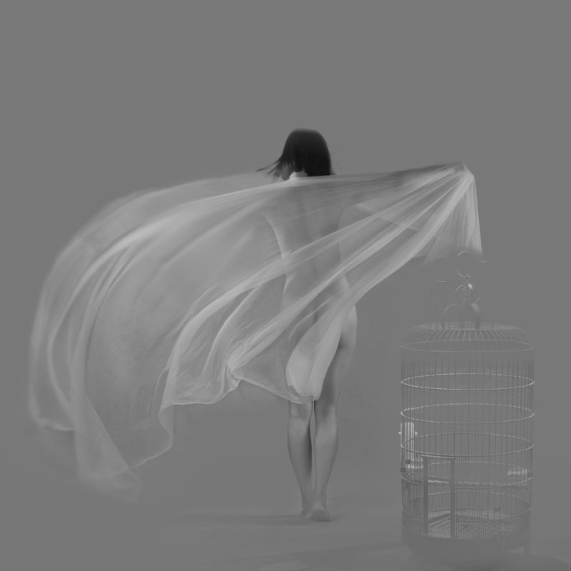 Cận cảnh tác phẩm ảnh khoả thân của 10 nhiếp ảnh gia nổi tiếng