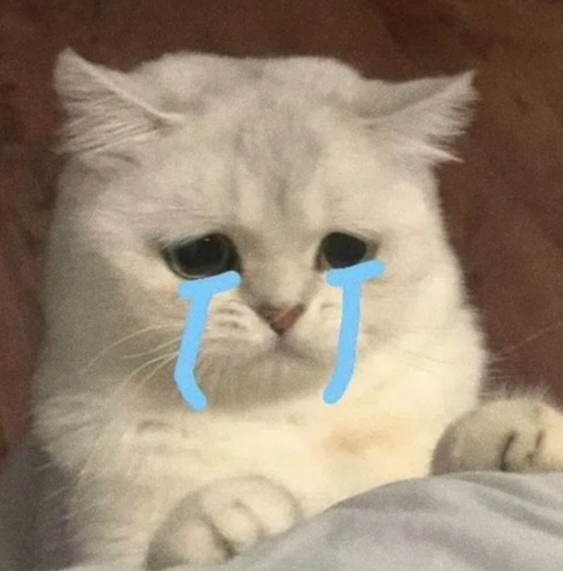 Lưu ý khi sử dụng hình ảnh meme khóc