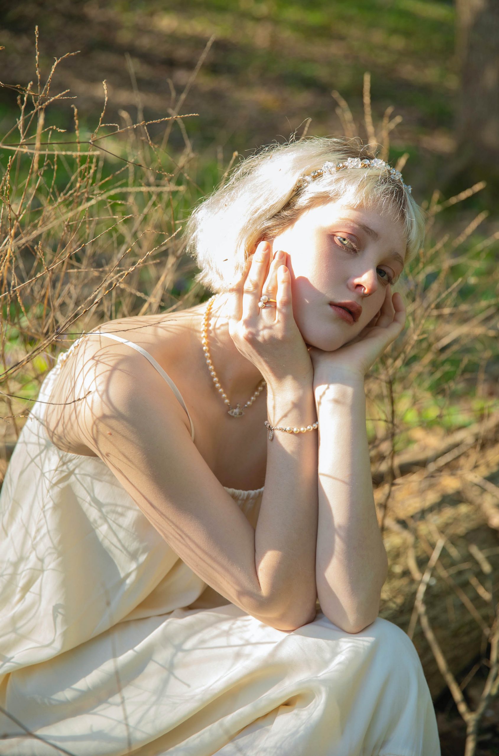 Trắc nghiệm ưu điểm qua loài bướm 1