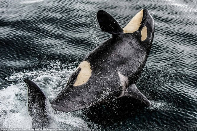 anh tuyet dep vao chung khao cuoc thi anh lon nhat the gioi