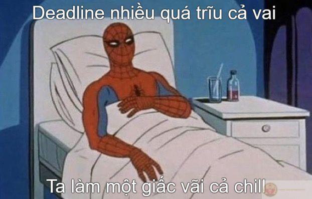 Người nhện meme