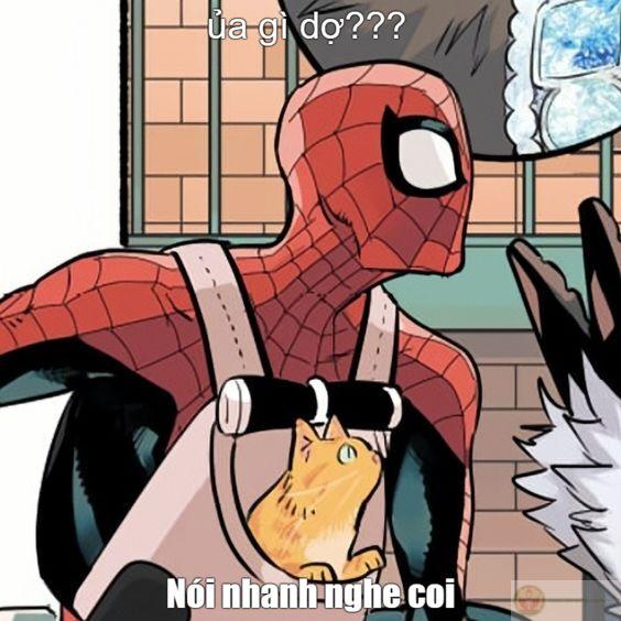 Không thông minh nhưng bù lại cũng không đẹp