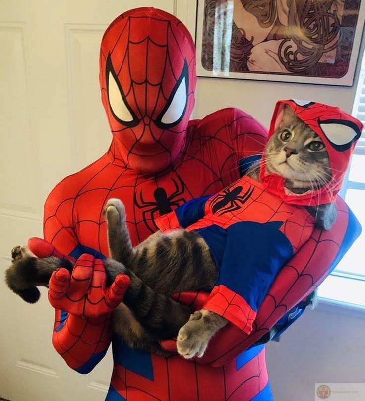 Người nhện không làm gì sai, chỉ nhìn hơi giống