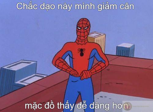Meme nhện