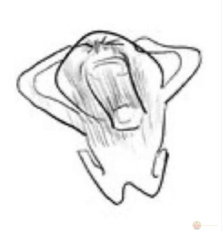 Có lúc chẳng buồn khóc, chỉ thấy lòng trống rỗng