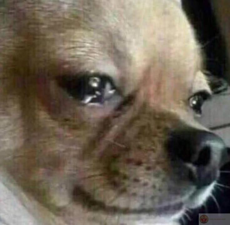 Có khi chỉ một ánh mắt cũng khiến tôi bật khóc