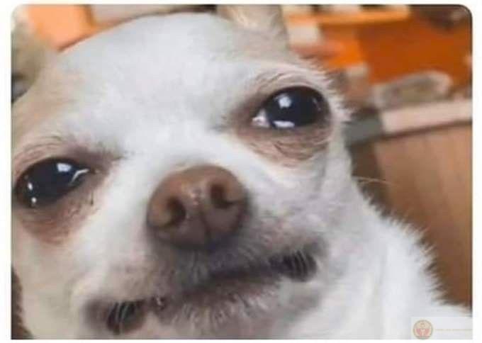 Tôi sợ khóc trước mặt người khác, vì thấy mình yếu đuối