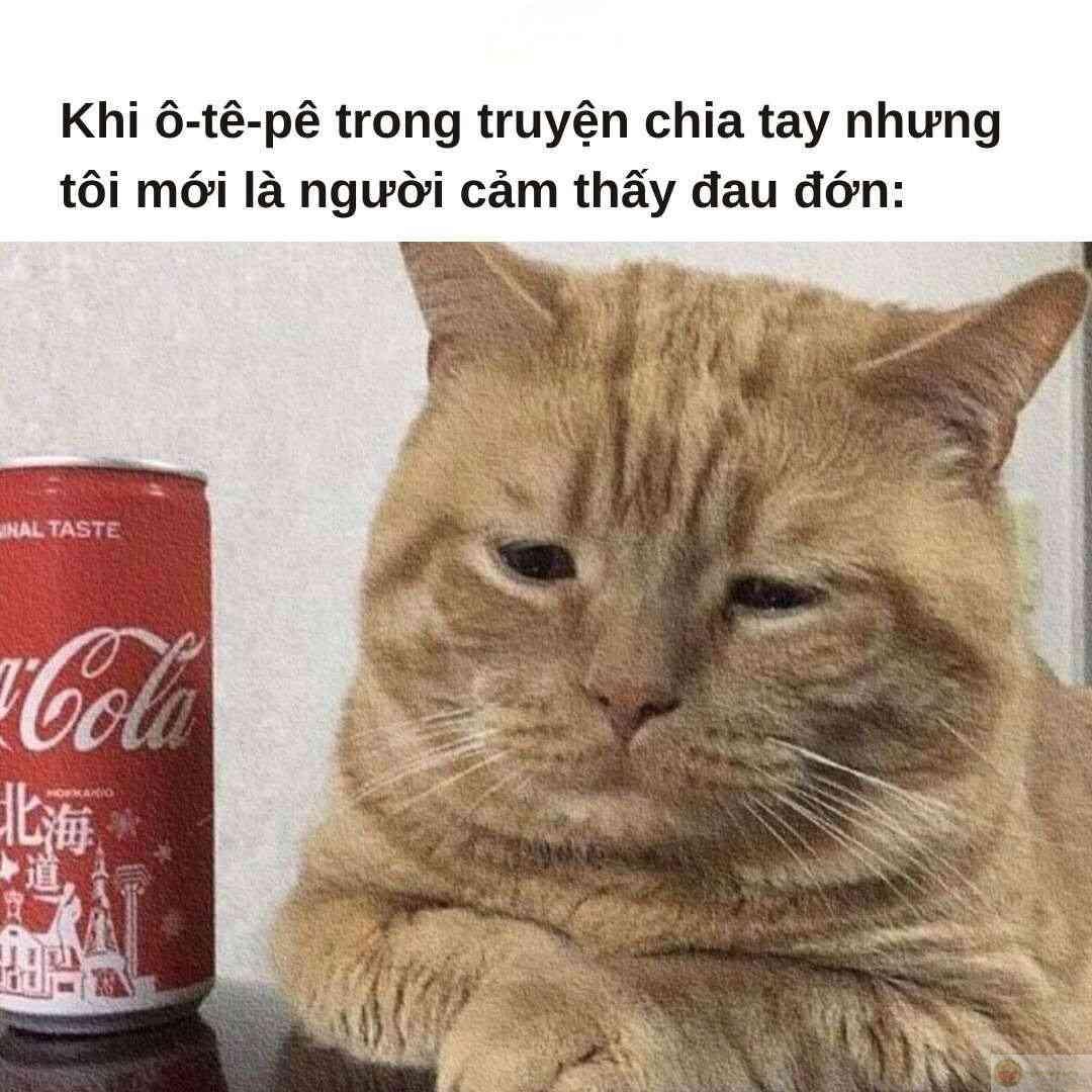 Tôi không giỏi kiềm chế nước mắt đâu