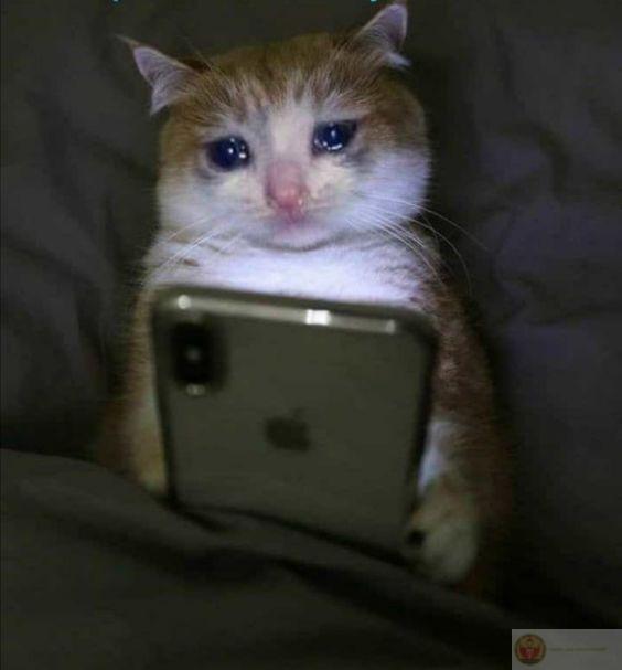 Tôi khóc cho những điều đã không thể