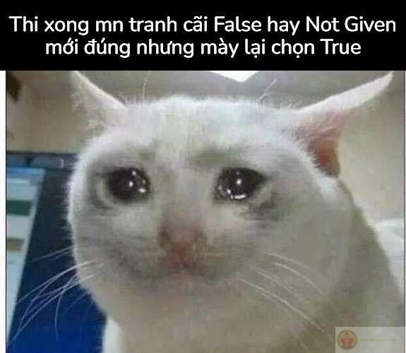 Mỗi lần khóc là một lần yếu lòng