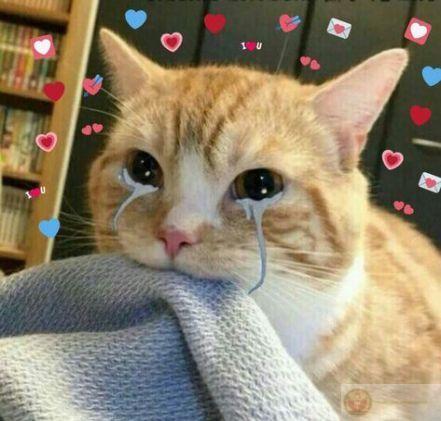 Mỗi giọt nước mắt là một câu chuyện chưa kể