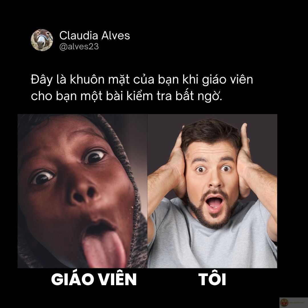 Meme khóc không thành tiếng